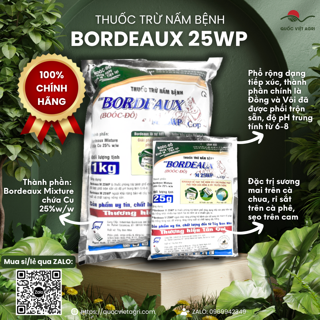 Mặt trước gói thuốc trừ bệnh BORDEAUX M 25WP (BOÓC ĐÔ) (25g hoặc 1KG), nhãn hiệu rõ ràng, xuất xứ Tây Ban Nha, phân phối bởi Quốc Việt Agri.