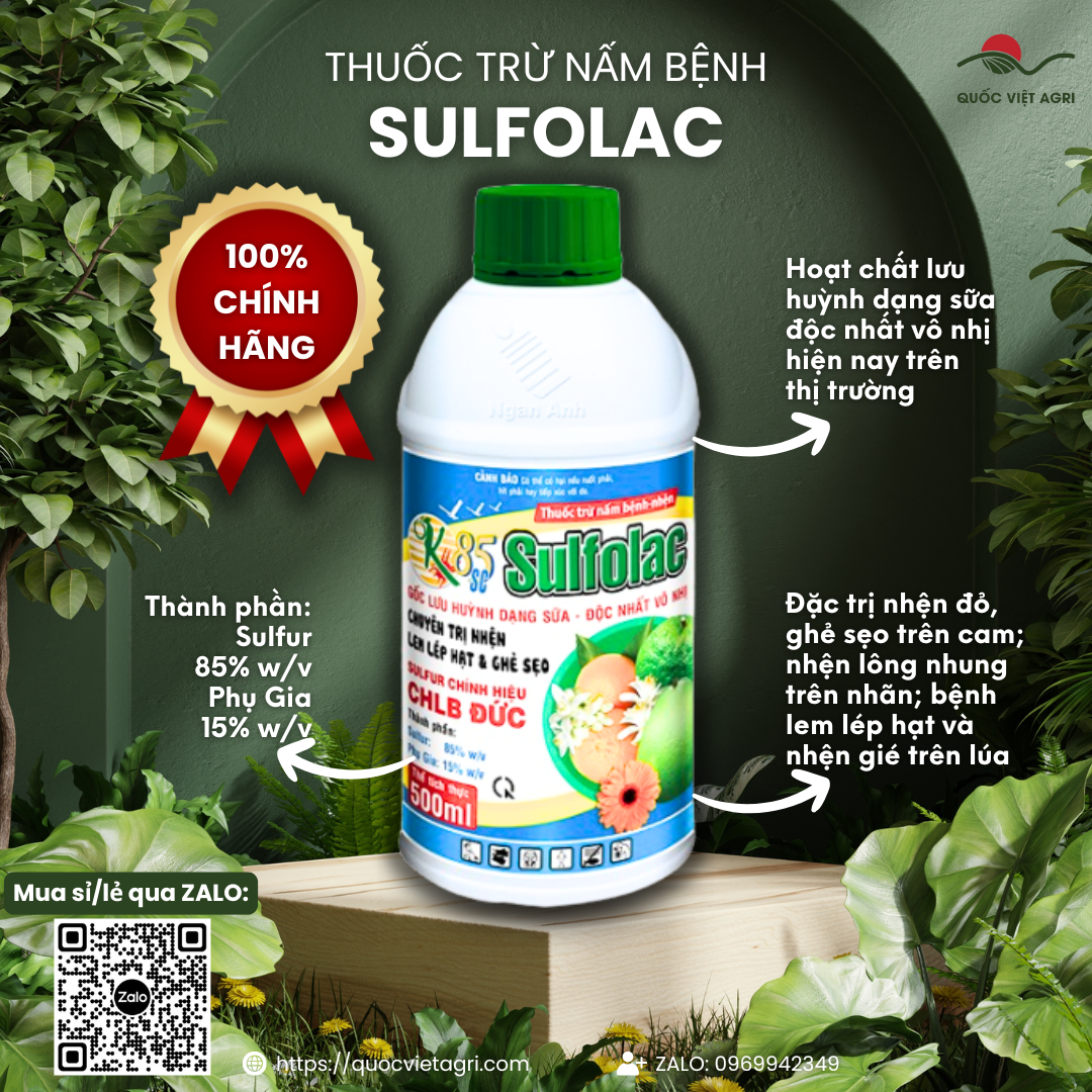 Mặt trước chai OK SULFOLAC 85SC 500ml – rõ thương hiệu, thành phần