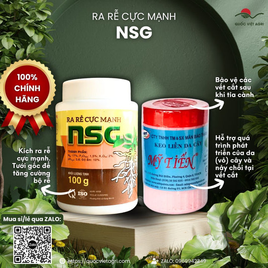 Combo Kích Rễ (Thay thế N3M) & Keo Liền Da Mỹ Tiến (100g)