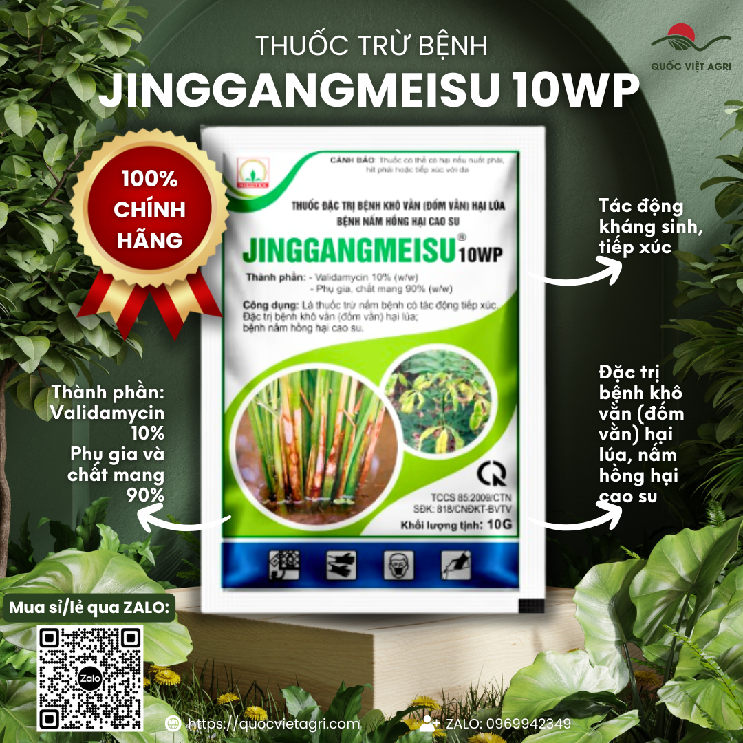 Mặt trước gói thuốc trừ bệnh JINGGANGMEISU 10WP 10g, rõ thương hiệu và công dụng chính trị khô vằn và nấm hồng