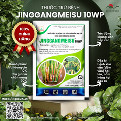 Mặt trước gói thuốc trừ bệnh JINGGANGMEISU 10WP 10g, rõ thương hiệu và công dụng chính trị khô vằn và nấm hồng