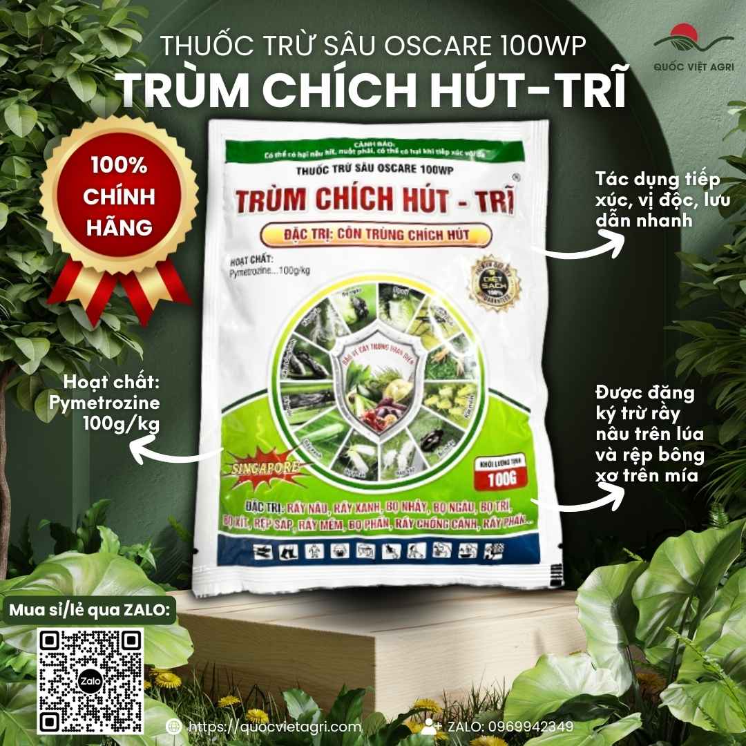 Mặt trước gói thuốc trừ sâu OSCARE 100WP (TRÙM CHÍCH HÚT) 100g, chứa hoạt chất Pymetrozine 100g/kg, đặc trị rầy rệp, bọ trĩ.

