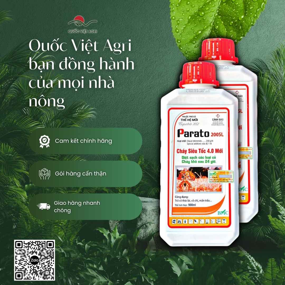 Mặt sau chai thuốc trừ cỏ Parato 200SL 900ml với thông tin thành phần hoạt chất Diquat dibromide và hướng dẫn sử dụng chi tiết.
