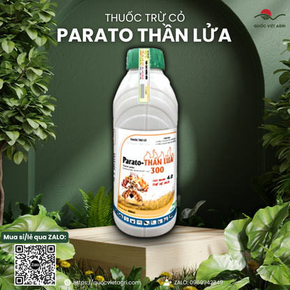 Hình ảnh các loại cỏ khó trị như cỏ tranh, cỏ mần trầu đang bị cháy vàng sau khi phun thuốc.
