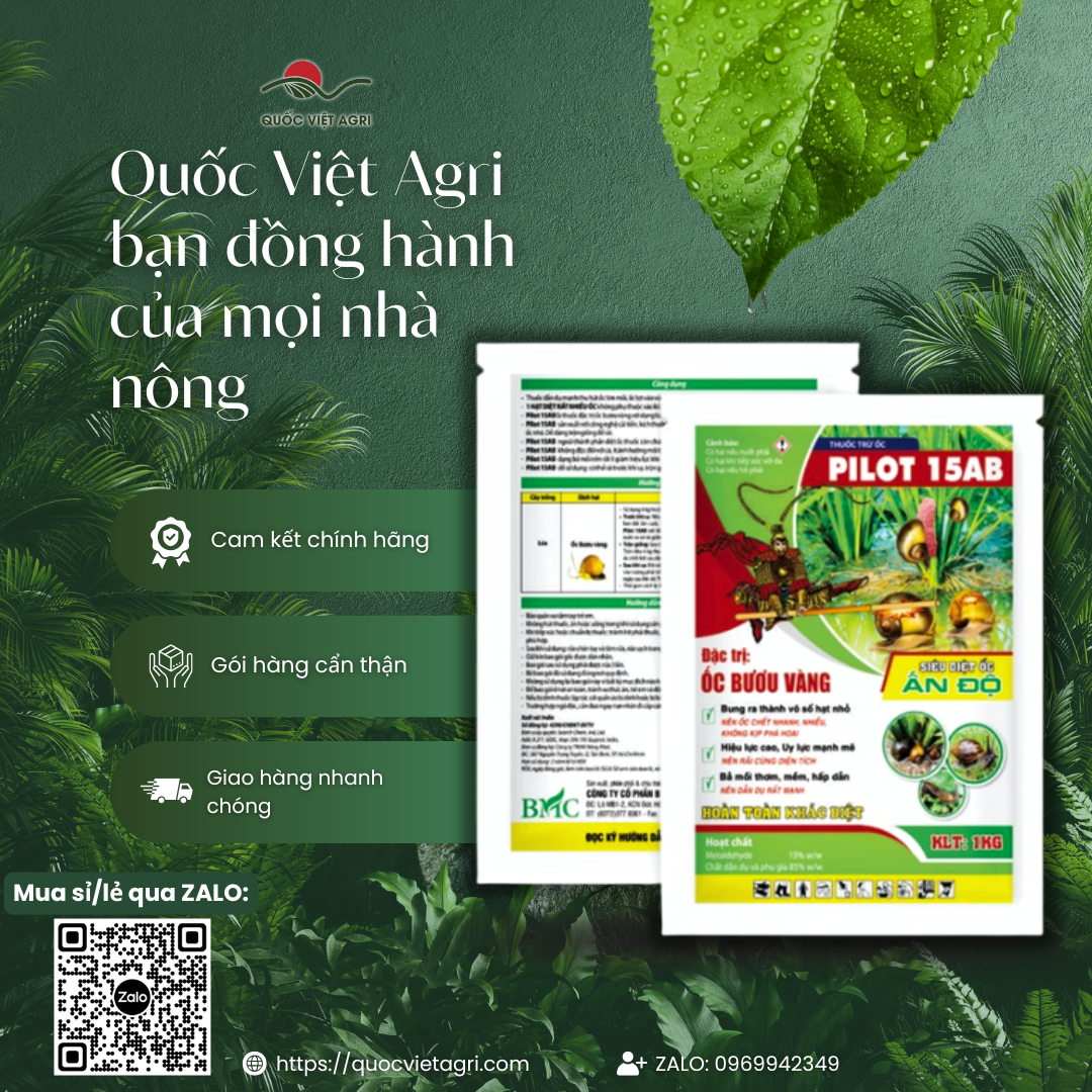 Hình ảnh tổng thể gói thuốc trừ ốc PILOT 15AB 1KG, đầy đủ thông tin sản phẩm ở cả hai mặt.
