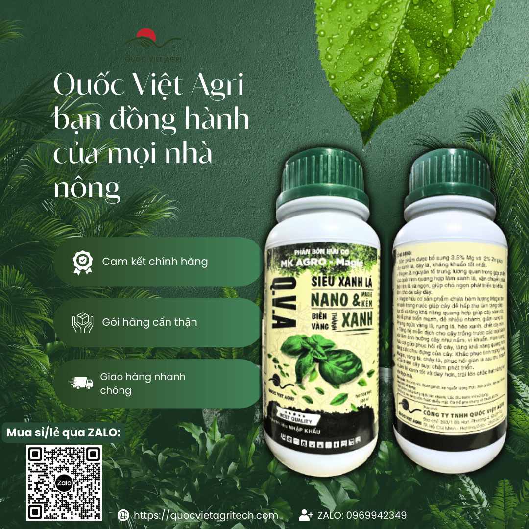 Hình ảnh tổng quan sản phẩm Siêu Xanh Lá Nano & Magie Kẽm 450ml, giải pháp phục hồi toàn diện cho cây ăn trái, cây công nghiệp từ Quốc Việt Agri.
