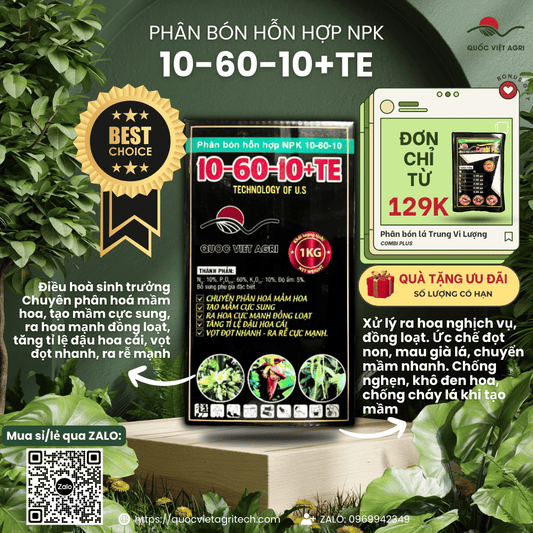 Gói phân bón lá Siêu Lân 10-60-10 QVA 100g - Kích thích ra hoa, phân hóa mầm hoa, chính hãng Quốc Việt Agri.