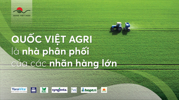 Slide Quốc Việt Agri VTNN haifa sygenta yara vita hoptri