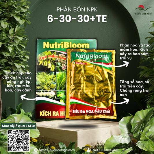 Gói phân bón NutriBloom 6-30-30+TE 200g, với thiết kế bao bì chuyên nghiệp, làm nổi bật công dụng tạo mầm hoa.