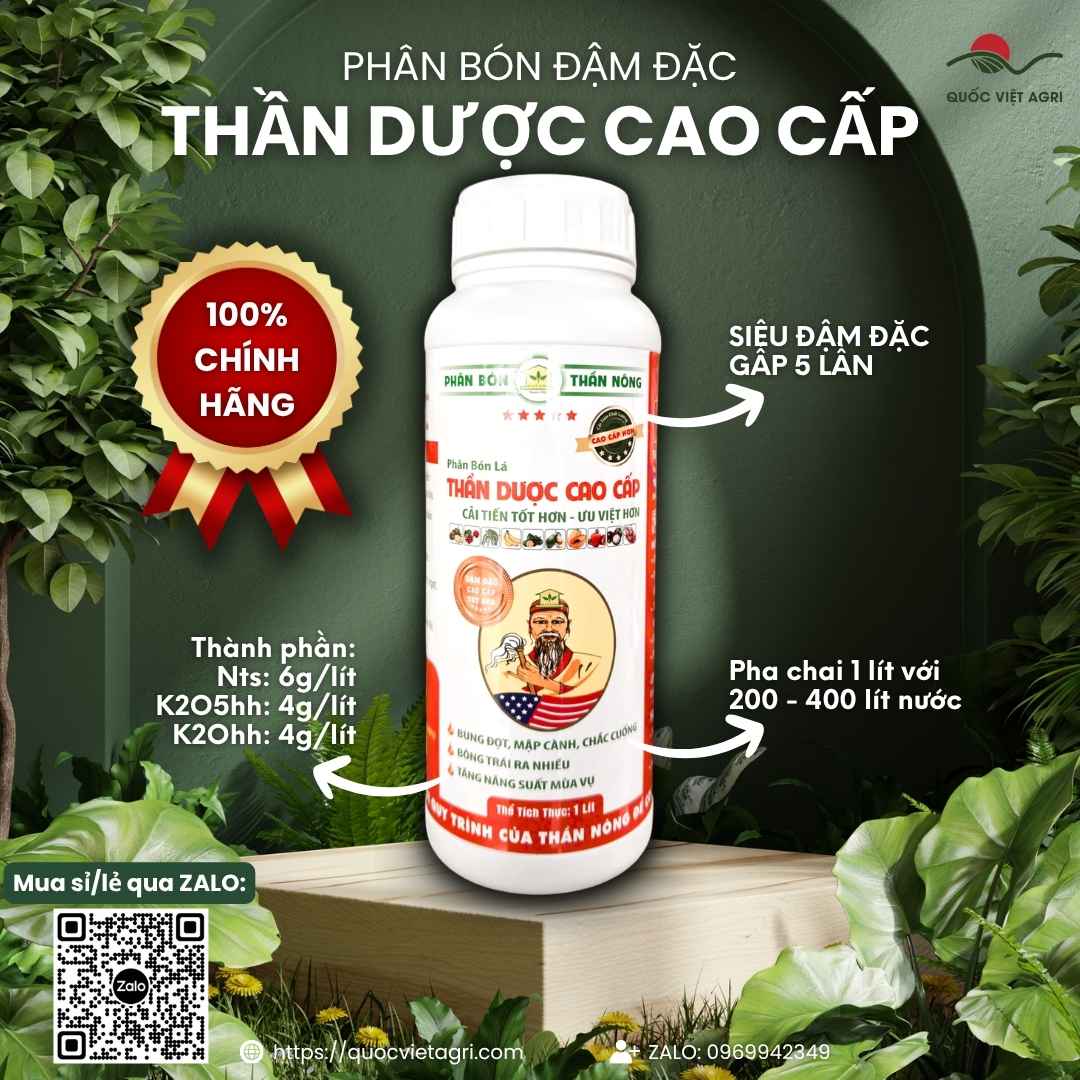 Phân Bón Đậm Đặc THẦN DƯỢC Ba Lá Xanh (1 Lít) | Bung Đọt, Mập Cành