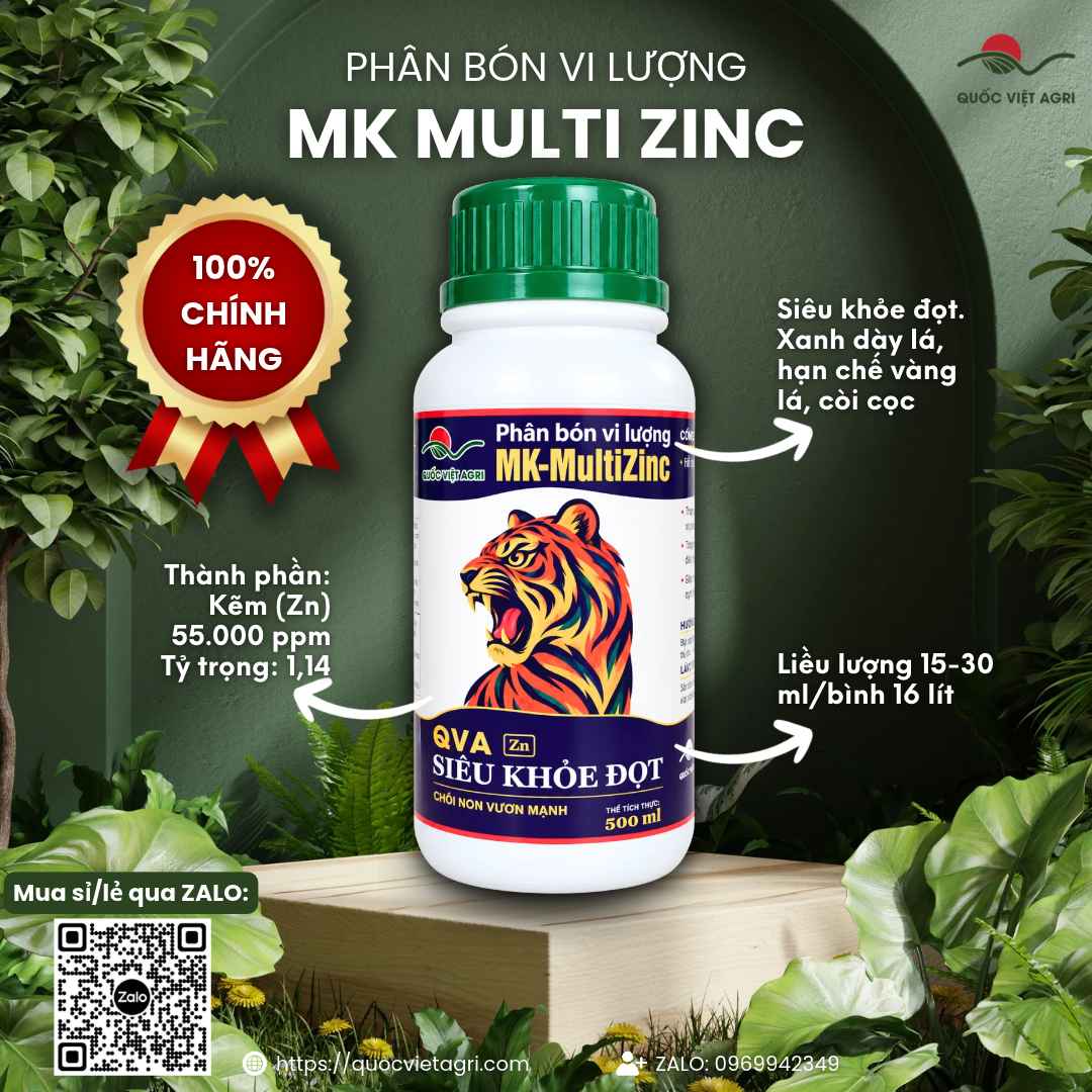 Phân Bón Vi Lượng QVA Siêu Khỏe Đọt Zn (500ml) – Bổ Sung Kẽm