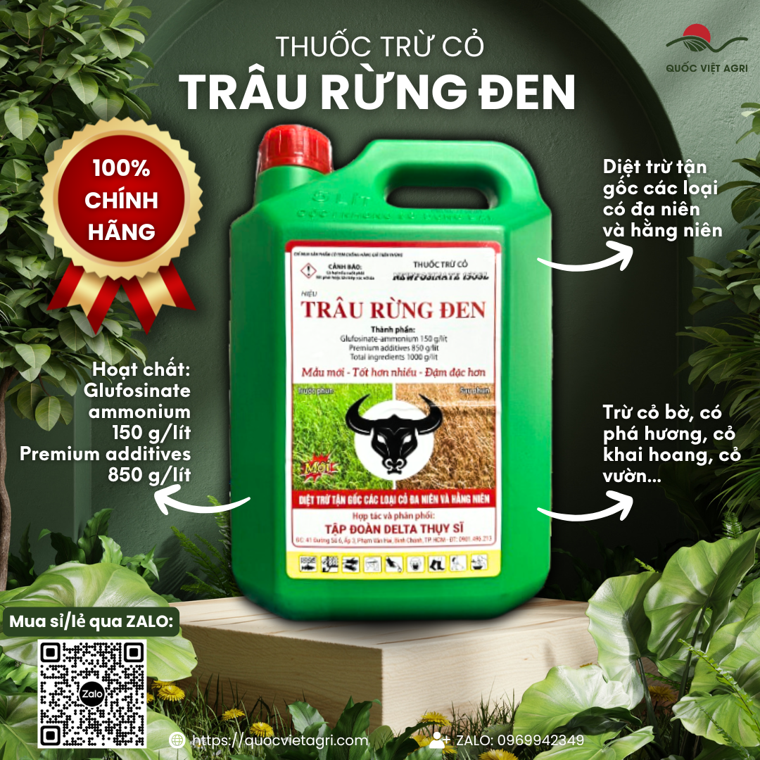 Can thuốc trừ cỏ TRÂU RỪNG ĐEN 150SL 4.5 lít, diệt tận gốc cỏ đa niên và hằng niên.