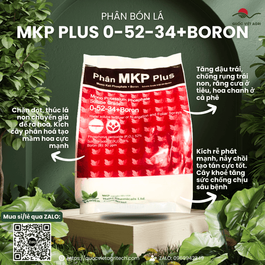Bao bì phân bón MKP HAIFA PLUS 0-52-34 (1kg) – mặt trước rõ ràng, in xuất xứ Israel.

