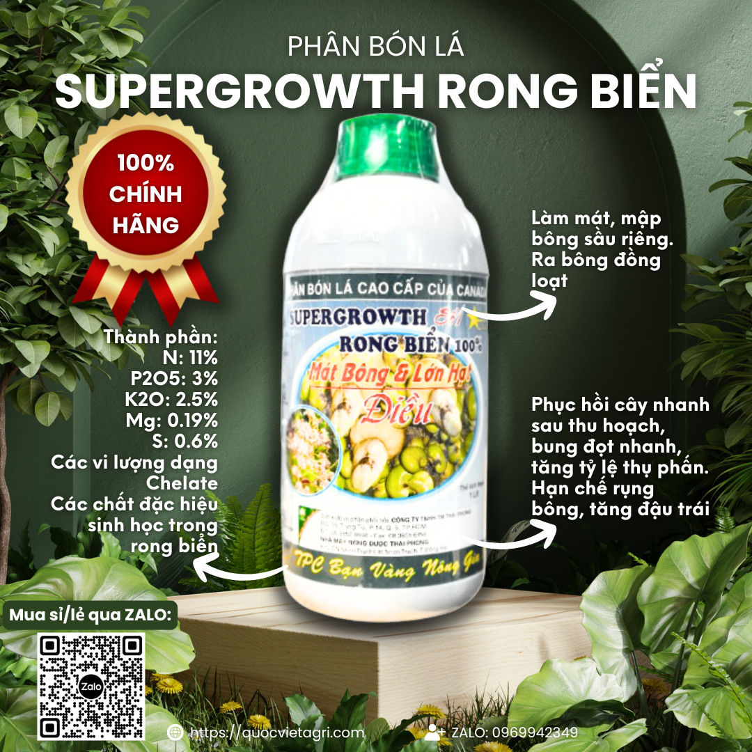Chai phân bón lá Supergrowth Rong Biển 1 lít, chuyên dụng làm mát bông, lớn hạt điều, hiển thị rõ thương hiệu và thành phần chính