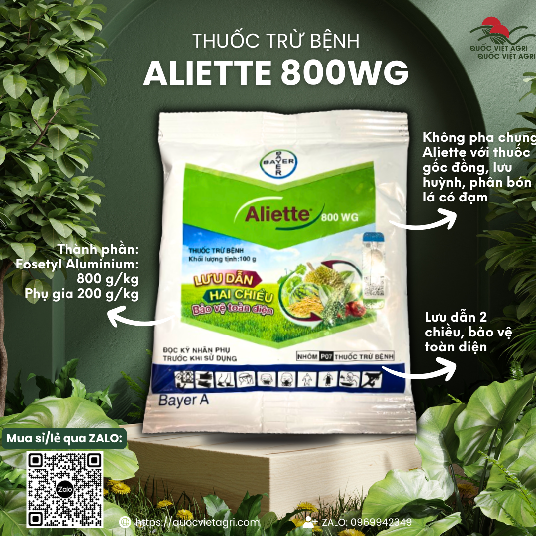 Thuốc trừ bệnh bayern Aliette vtnn