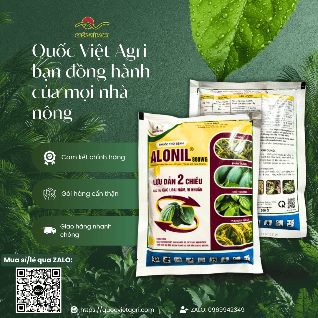 Thuốc trừ bệnh ALONIL 800WG (gói 500g) - Fosetyle Aluminium 800g/kg Lưu dẫn 2 chiều, Trị thối nõn, phấn trắng, bạc lá 1 đánh giá