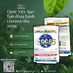  Hình ảnh hai mặt (trước và sau) của gói thuốc trừ bệnh COC 85 (Curenox OC 85WP) 20g, đầy đủ nhãn mác và thông tin sản phẩm.
