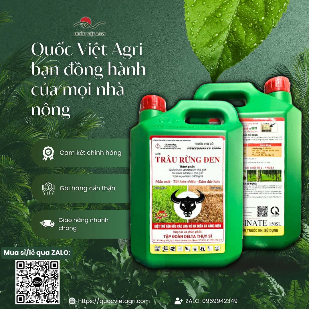 Hai mặt can thuốc trừ cỏ TRÂU RỪNG ĐEN 150SL, cung cấp đầy đủ thông tin cần thiết.