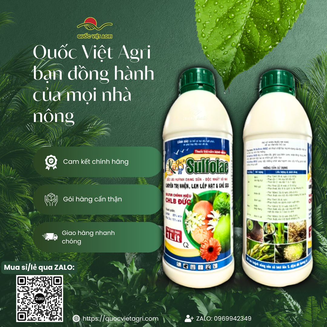 Toàn cảnh sản phẩm – chai nhựa chắc chắn, đóng gói an toàn