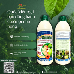 Toàn cảnh sản phẩm – chai nhựa chắc chắn, đóng gói an toàn