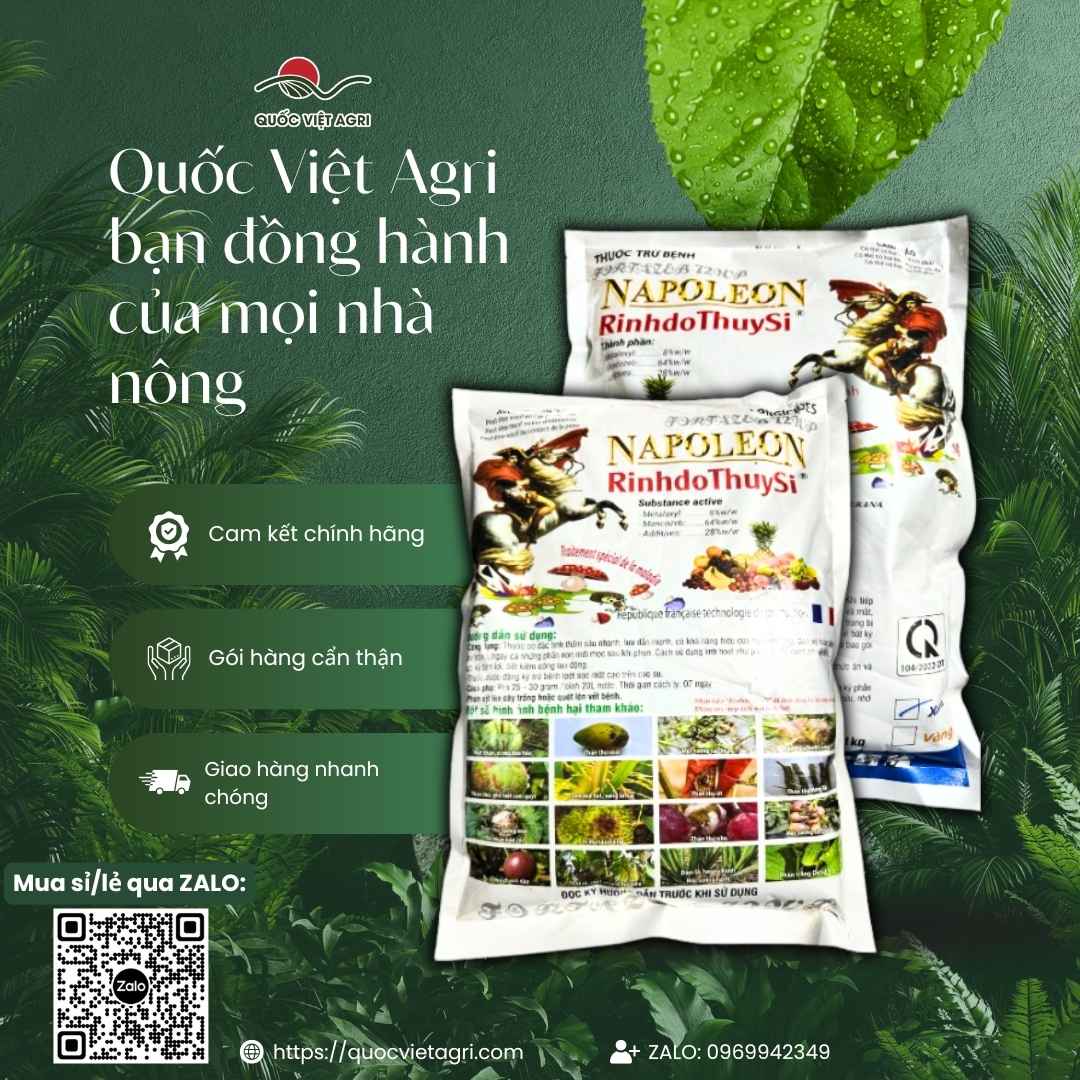Ảnh toàn diện gói thuốc trừ bệnh Fortazeb Biorosamil 72WP (Napoleon Bột Xanh) 1KG, chuyên dùng để đặc trị nứt thân xì mủ, sản phẩm công nghệ Pháp.
