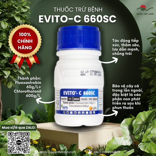 Chai thuốc trừ bệnh Evito-C 660SC dung tích 100ml, thiết kế chuyên nghiệp của APN.