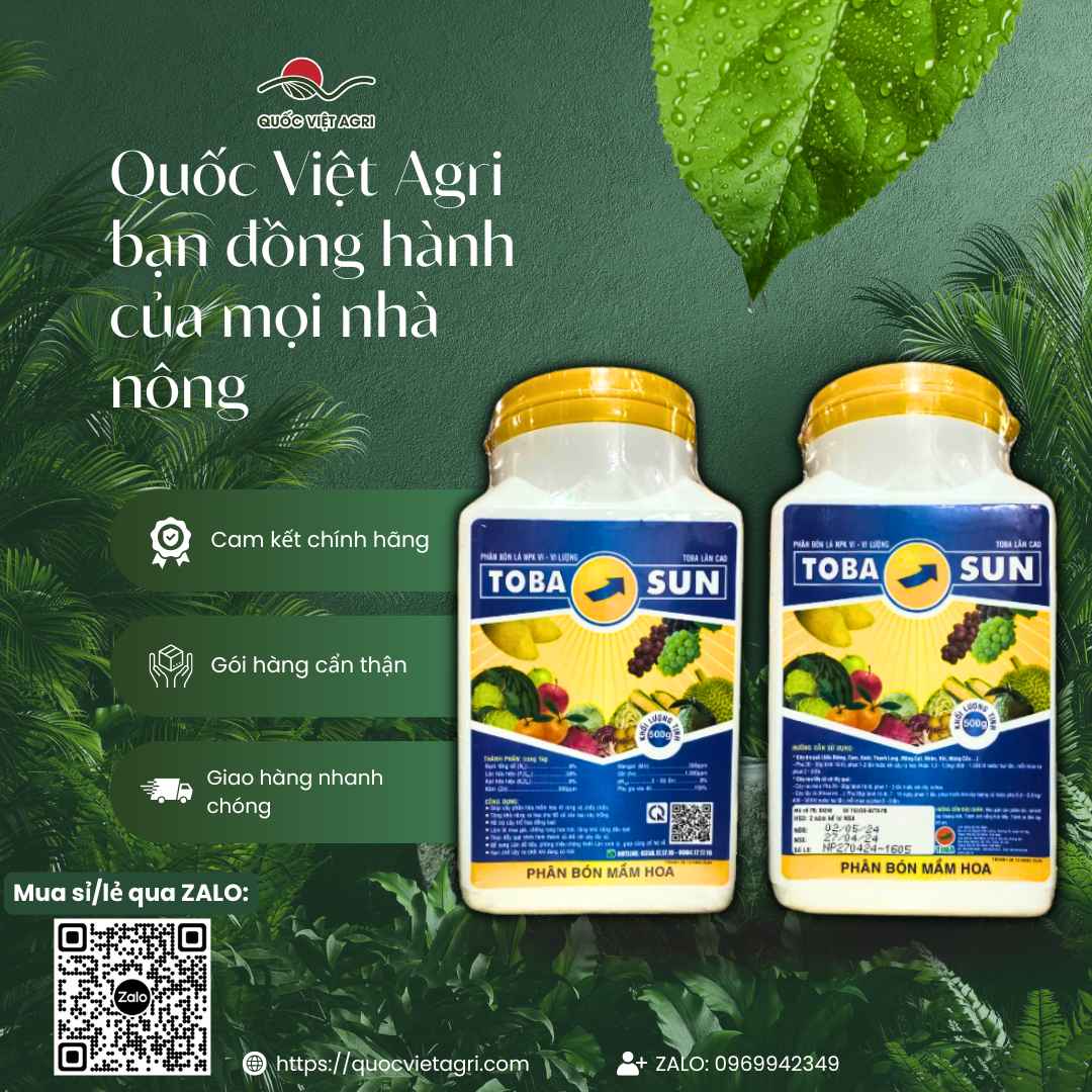 Phân Bón Lá TOBA SUN (500g) | Siêu Lân 58%, Kích Thích Ra Hoa Đồng Loạt | Quốc Việt Agri