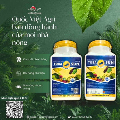 Phân Bón Lá TOBA SUN (500g) | Siêu Lân 58%, Kích Thích Ra Hoa Đồng Loạt | Quốc Việt Agri