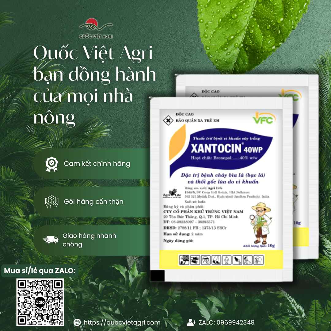 Thuốc Trị Bệnh XANTOCIN 40WP (10g) – Trị Bệnh Bạc Lá Lúa, Chết Chậm Tiêu – Chính Hãng