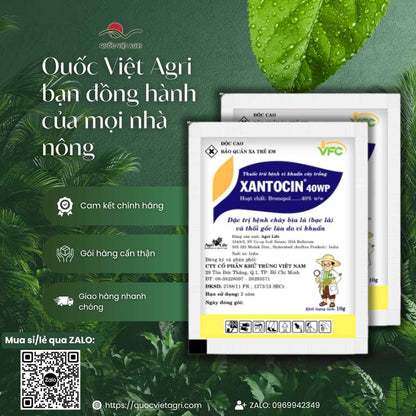 Thuốc Trị Bệnh XANTOCIN 40WP (10g) – Trị Bệnh Bạc Lá Lúa, Chết Chậm Tiêu – Chính Hãng