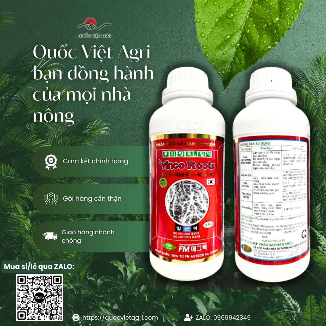 Phân Bón Sinh Học VINCO ROOTS (Chai 1 Lít) - Ra Rễ Cực Mạnh, Giải Độc Đất - Quốc Việt Agri