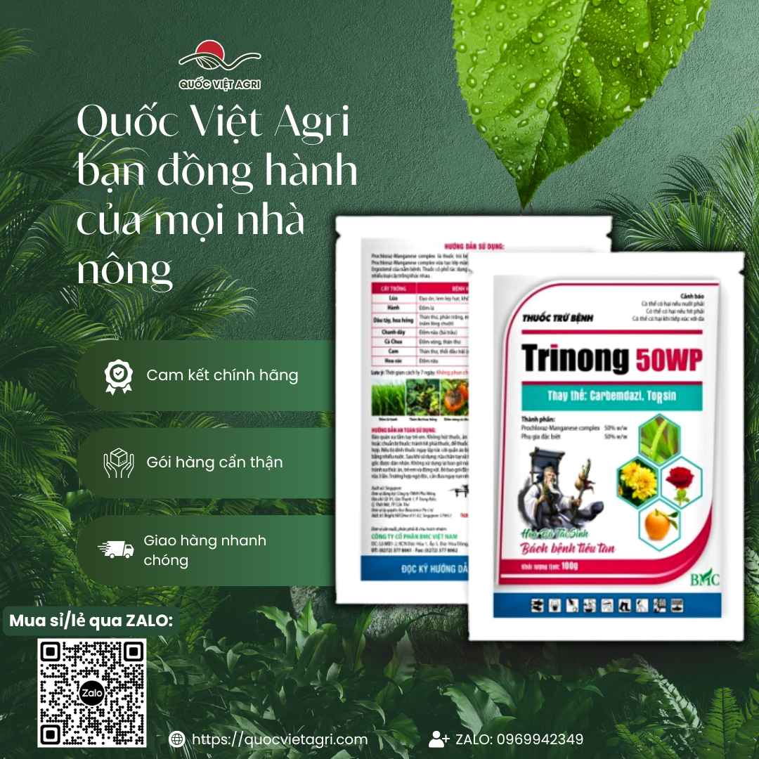 Thuốc Trừ Bệnh Trinong 50WP (100g) - Đặc Trị Thán Thư, Đạo Ôn
