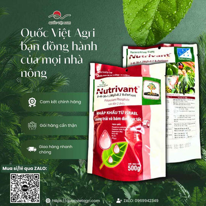 Phân Bón Tạo Mầm Nutrivant Rice 0-46-30 (500g) - Công Nghệ Israel