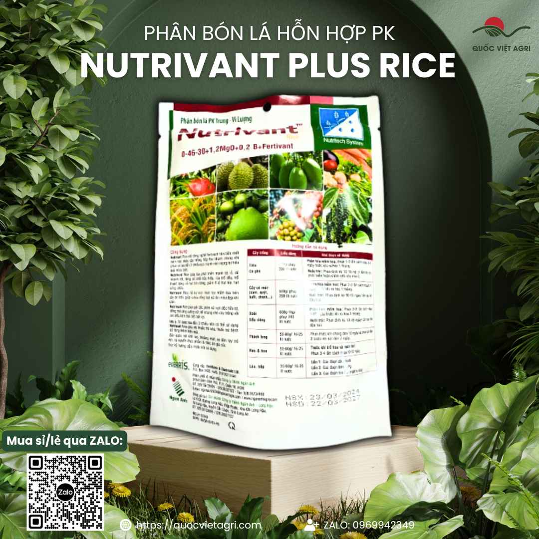 Phân Bón Tạo Mầm Nutrivant Rice 0-46-30 (500g) - Công Nghệ Israel