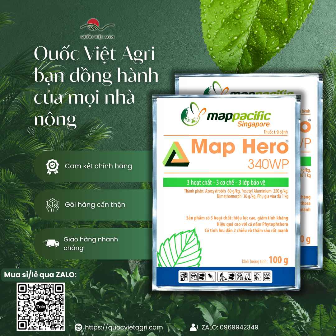 Thuốc Trừ Bệnh MAP HERO 340WP (100g) – Trừ Mốc Sương, Thối Thân, Thán Thư