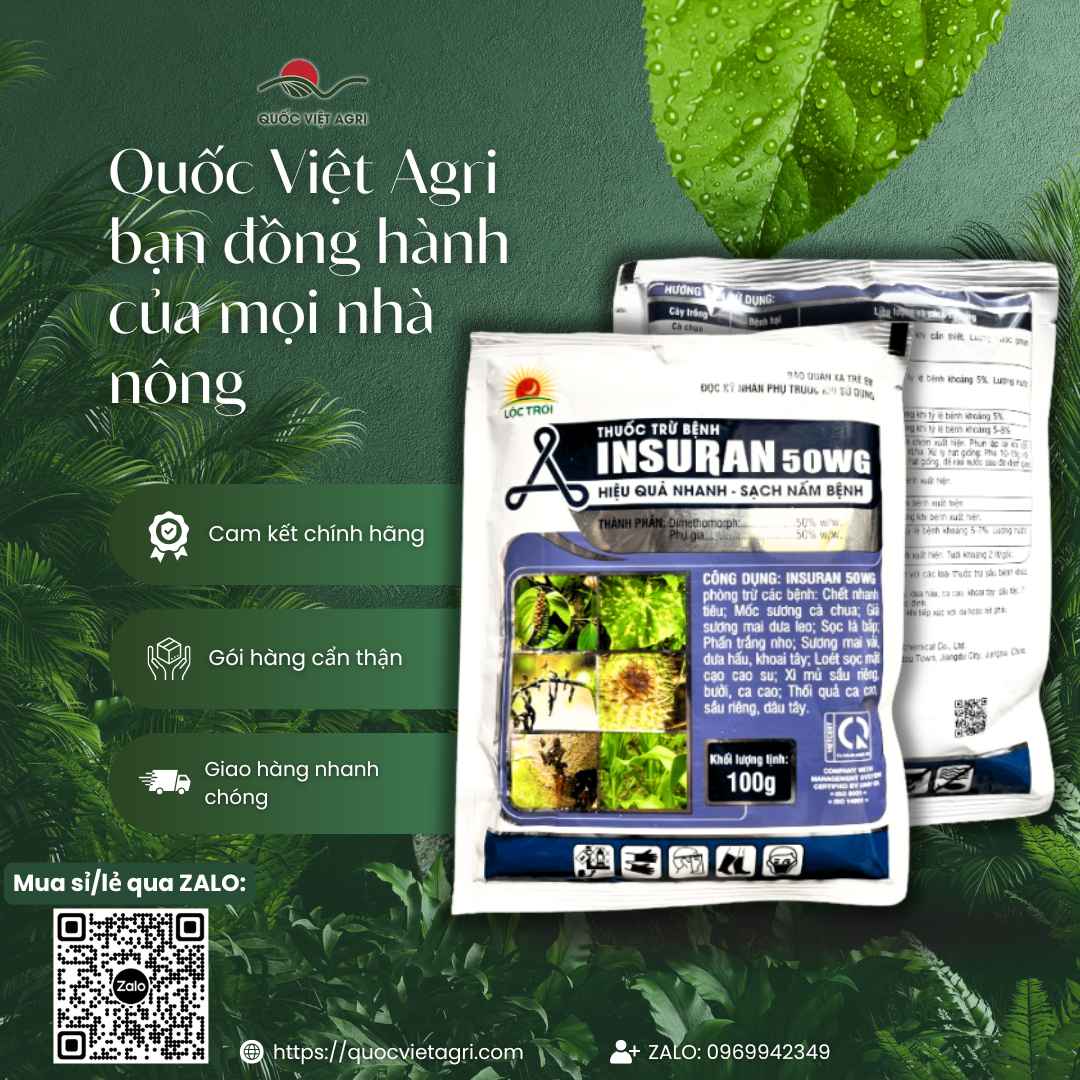 Thuốc Trừ Bệnh INSURAN 50WG (100g) | Dimethomorph | Đặc Trị Sương Mai, Xì Mủ | Lộc Trời