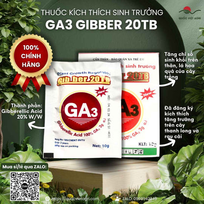 Thuốc Điều Hòa Sinh Trưởng GA3 GIBBER 20TB (Viên Sủi 10g) – Kéo Bông, Lớn Trái – Quốc Việt Agri