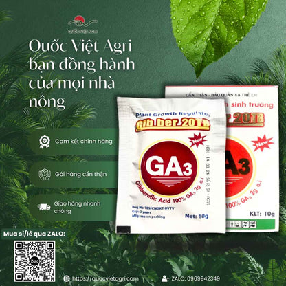 Thuốc Điều Hòa Sinh Trưởng GA3 GIBBER 20TB (Viên Sủi 10g) – Kéo Bông, Lớn Trái – Quốc Việt Agri