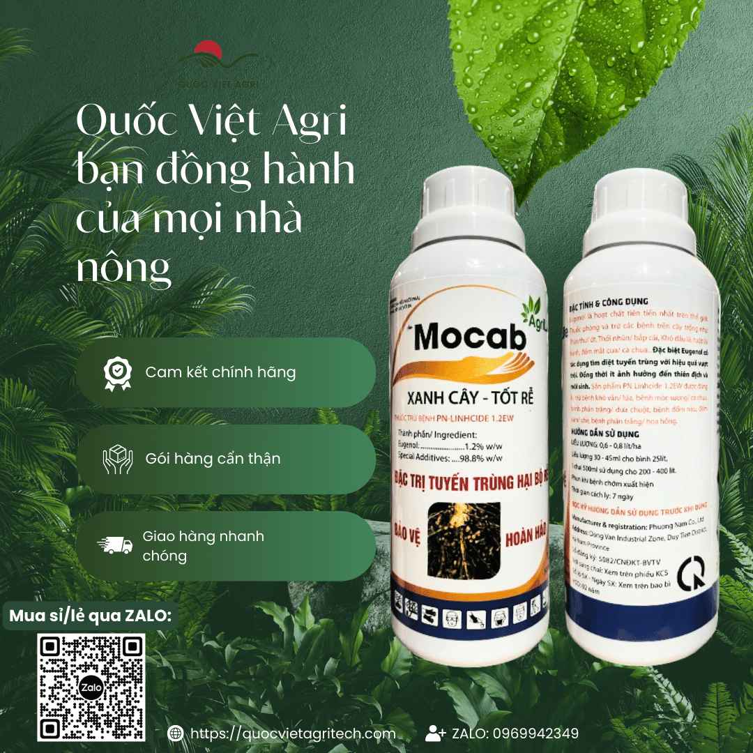 Thuốc Trừ Bệnh PN-LINHCIDE 1.2EW (500ml) – Thuốc Sinh Học Trị Tuyến Trùng, Thối Rễ – Chính Hãng