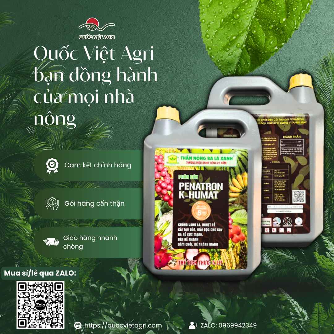 Phân Bón Penatron K-Humat (5 Lít) - Siêu Kích Rễ, Cải Tạo Đất