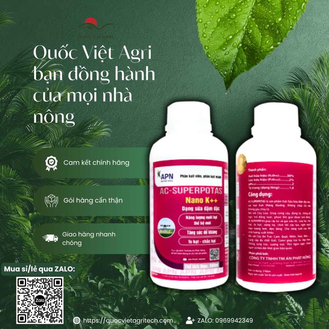 Phân Bón NANO K++ An Phát Nông (500ml) – K₂O 26,67% – Nuôi Hạt, Cứng Cây