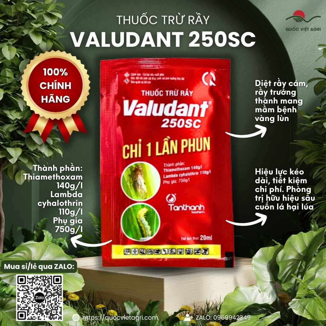 Thuốc Trừ Rầy VALUDANT 250SC (20ml) | Hạ Gục Nhanh Rầy Nâu, Sâu Cuốn Lá | Tân Thành