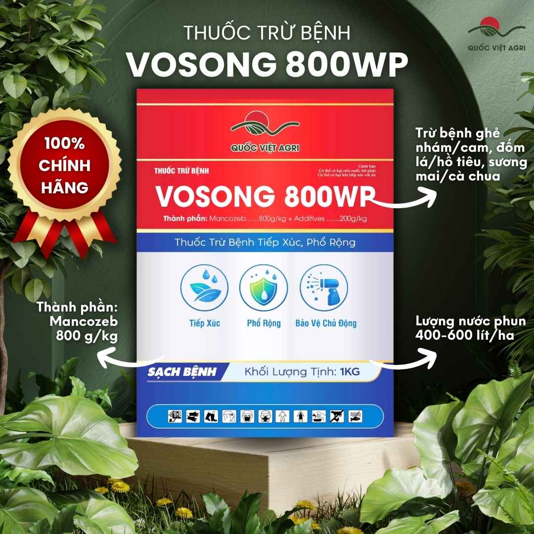 Thuốc Trừ Bệnh MANCOZEB MAN XANH (1kg) | VOSONG 800WP Trị Sương Mai, Thán Thư