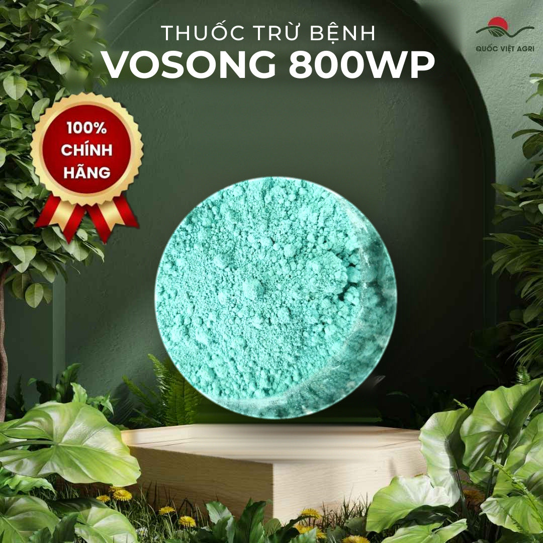 Bột thuốc trừ bệnh VOSONG 800WP màu xanh ngọc, chụp từ trên xuống trong cốc thủy tinh.