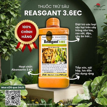 Thuốc Trừ Sâu Sinh Học REASGANT 3.6EC (450ml) | Abamectin | Đặc Trị Nhện Đỏ, Sâu Cuốn Lá | Quốc Việt Agri