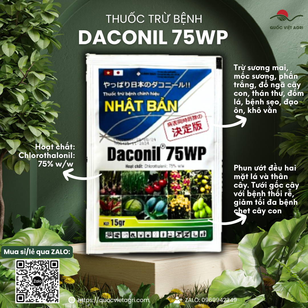 Gói thuốc trừ bệnh Daconil 75WP trọng lượng 15g, bao bì đặc trưng của VITHACO.