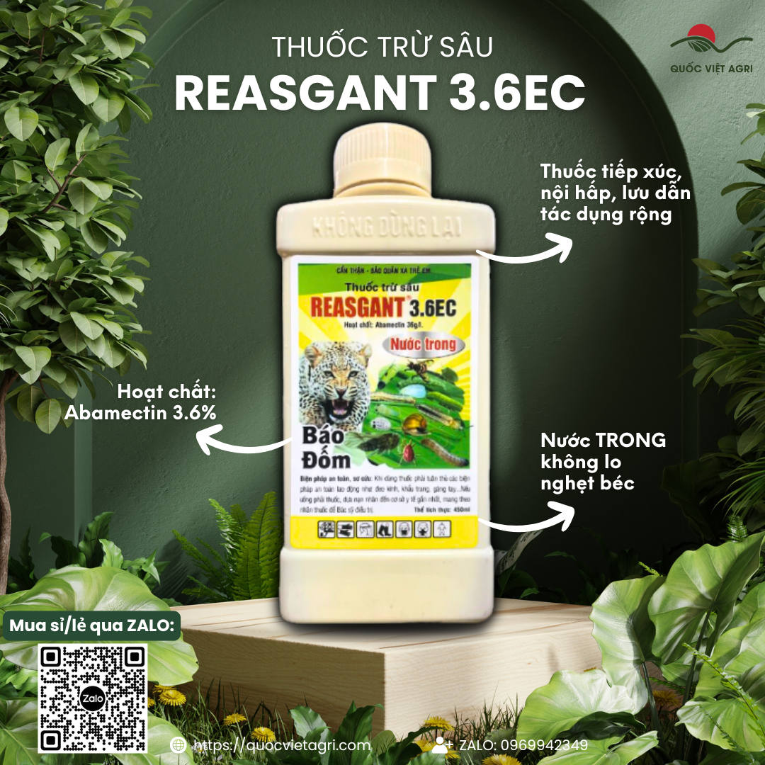 Mặt trước chai thuốc trừ sâu REASGANT 3.6EC (Nước Trong) 450ml, nhãn hiệu rõ ràng, sản phẩm của Quốc Việt Agri.