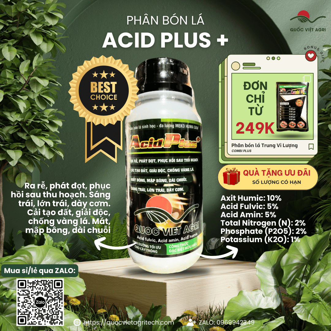 Mặt trước chai phân bón ACID PLUS+ 1 Lít – rõ ràng nhãn mác và thương hiệu.