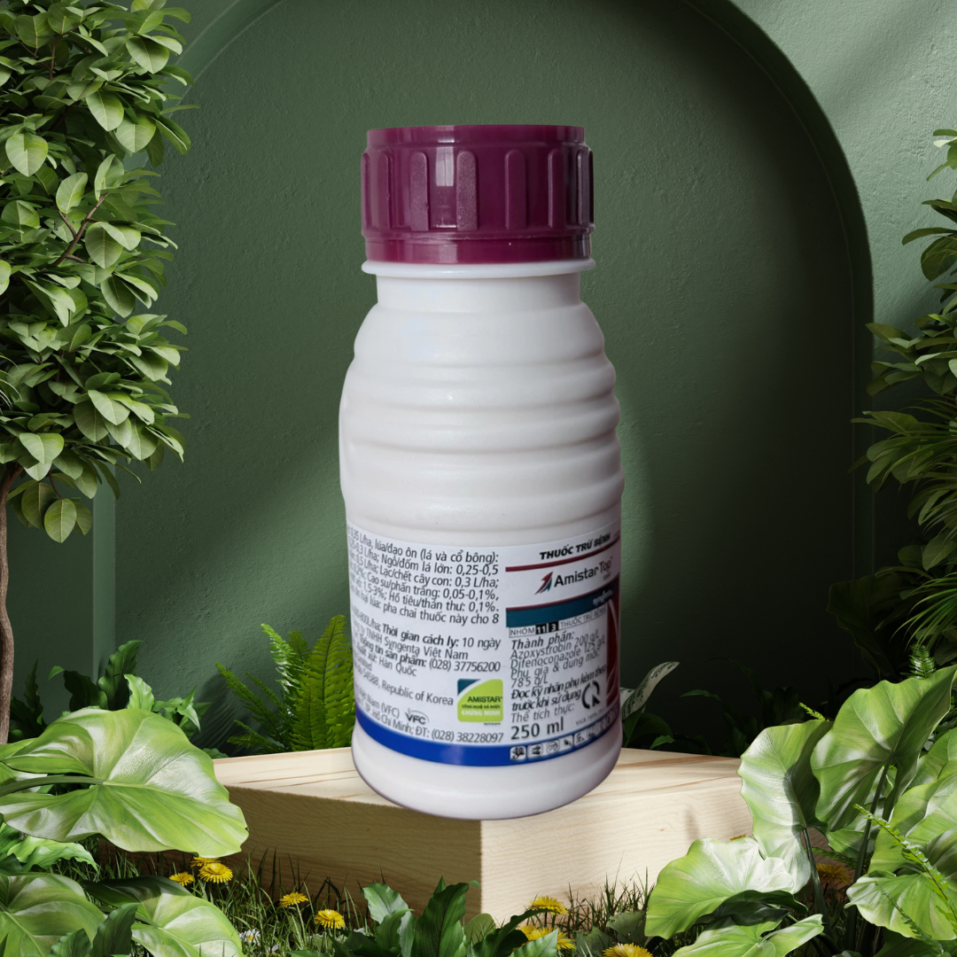 Amistar Top 325SC 250 ml, góc chụp nhãn trước trên nền xanh Quốc Việt Agri