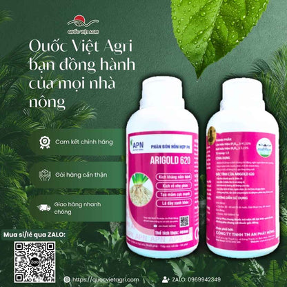 Tưới gốc Arigold 620 phục hồi sầu riêng vàng lá thối rễ, lúa giải độc phèn.
